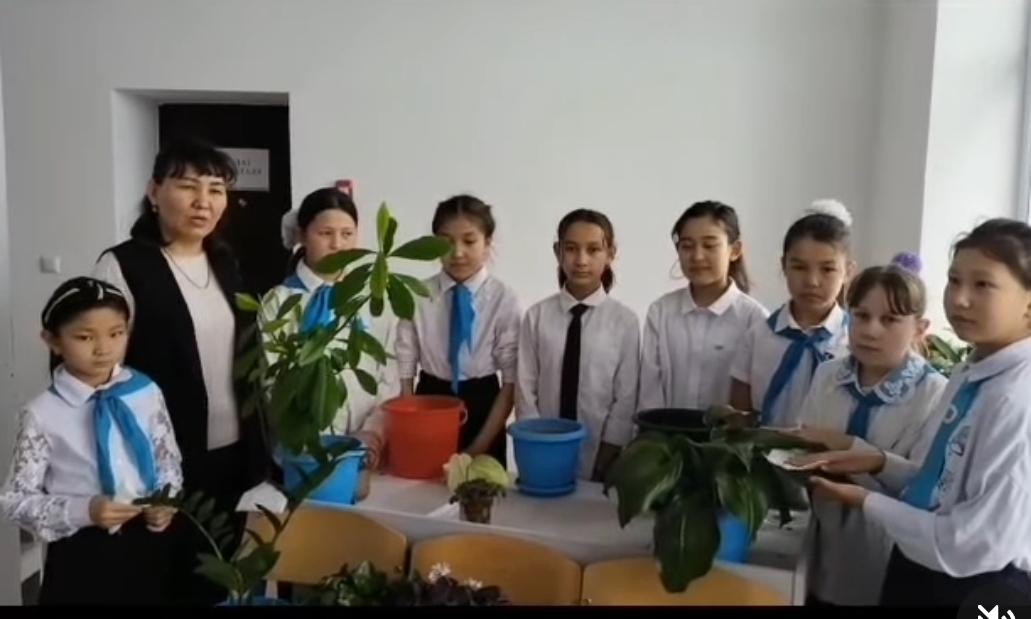 Биология пән мұғалімі 6-сынып оқушылармен гүл отырғызу барысы